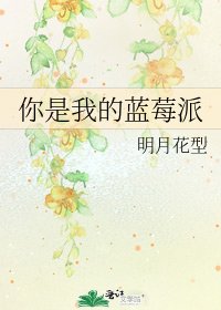 《你是我的蓝莓派》