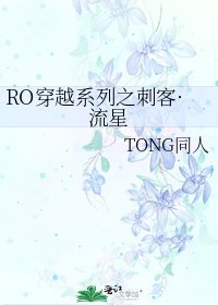 《RO穿越系列之刺客·流星》