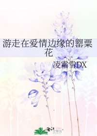 《游走在爱情边缘的罂粟花》