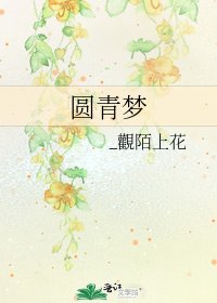 《圆青梦》