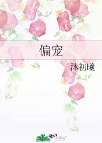 《偏宠》