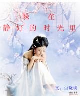 《躲在静好的时光里》