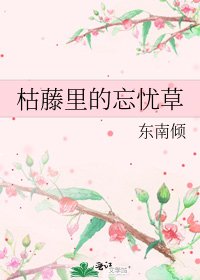 《枯藤里的忘忧草》