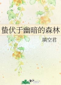 《蛰伏于幽暗的森林》