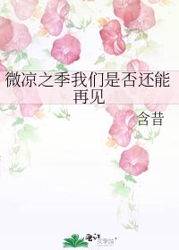 《微凉之季我们是否还能再见》
