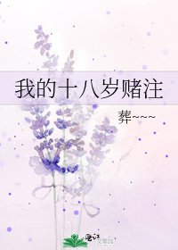 《我的十八岁赌注》