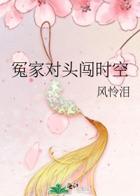 《冤家对头闯时空》