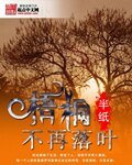 《梧桐不再落叶》