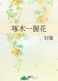 《啄木一握花》
