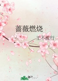 《蔷薇燃烧》