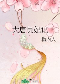 《大唐贵妃记》