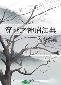 《穿越之神诏法典》