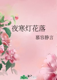 《夜寒灯花落》