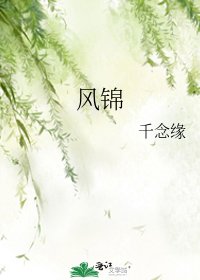 《风锦》