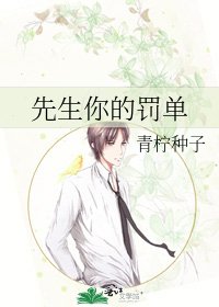 《先生你的罚单》