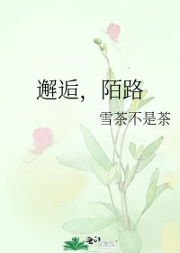 《邂逅,陌路》
