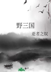 《野三国》