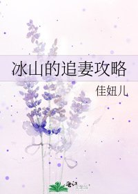 《冰山的追妻攻略》
