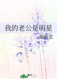 《我的老公是明星》