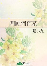 《四顾何茫茫》