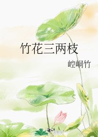 《竹花三两枝》