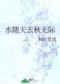 《水随天去秋无际》