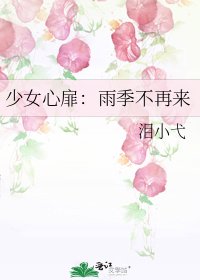 《少女心扉:雨季不再来》