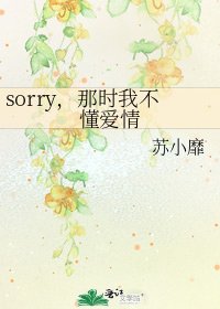 《sorry,那时我不懂爱情》