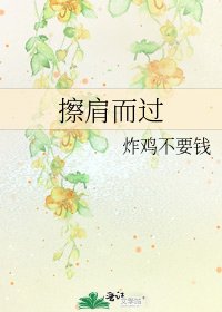 《擦肩而过》