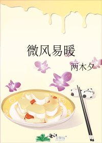 《微风易暖》
