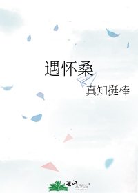 《遇怀桑》