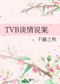 《TVB谈情说案》