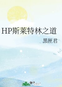 《HP斯莱特林之道》