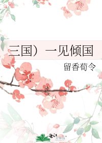 《三国)一见倾国》