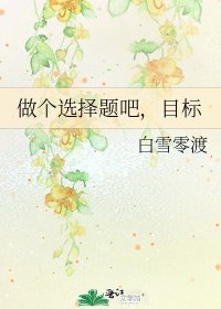 《做个选择题吧,目标》