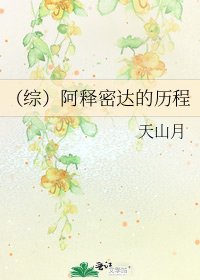 《(综)阿释密达的历程》
