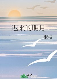 《迟来的明月》