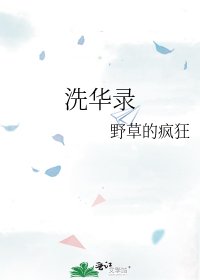 《洗华录》