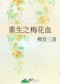 《重生之梅花血》