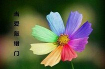 《当爱敲错门》