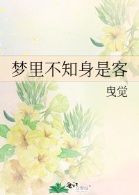 《梦里不知身是客》