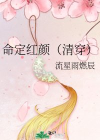 《命定红颜(清穿)》