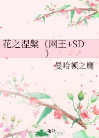 《花之涅槃(网王+SD)》
