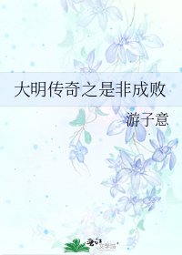 《大明传奇之是非成败》