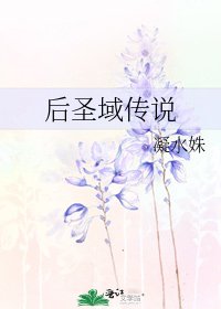 《后圣域传说》