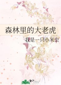 《森林里的大老虎》