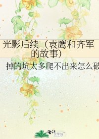 《光影后续(袁鹰和齐军的故事)》