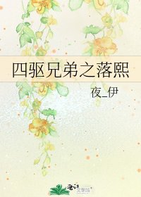《四驱兄弟之落熙》
