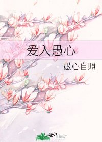 《爱入愚心》