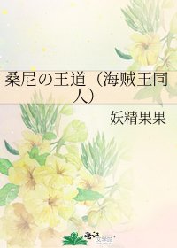 《桑尼の王道(海贼王同人)》
